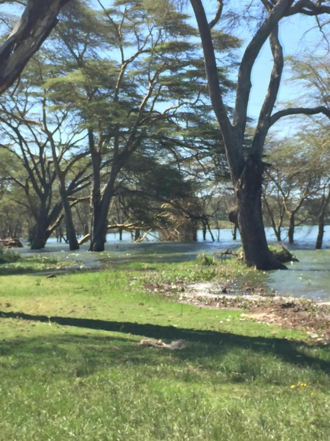 Enjoy The Silence, Naivasha By Yourhost Exterior foto